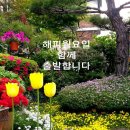 시이작