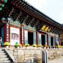 계룡산갑사황금산장 | 계룡산 갑사 문화유산과 교통숙박 정보(불교,유물,교통)