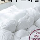애정이불 이미지