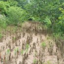 함안땅공인중개사사무소 이미지