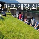 제일장묘
