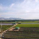 논어이야기 이미지