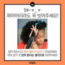 제일헤어샾