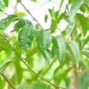 현자농장 이미지