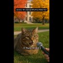 한림성심대학교 이미지