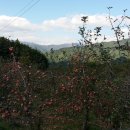 서동리 경로당 이미지