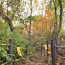 이가순 선생 관개송덕비 이미지