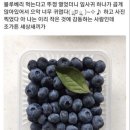 너와함개냥 이미지
