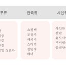 (주)효디자인