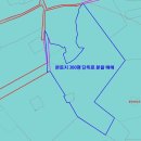 선원면-9 Daum카페
