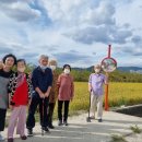 다사랑요양병원 이미지