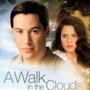 구름속의 산책 이미지