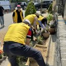 정자1동 행정복지센터 이미지