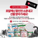 루니펫 | 강아지 분리불안 & 스트레스 해소 필수템! 루니펫 노즈워크 퍼즐 장난감 후기