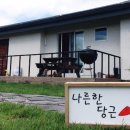 나른한당근