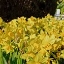 아차산약국 이미지