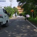 달구벌대로109길 이미지