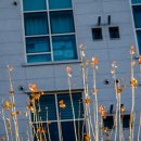 납부필증+기타 이미지