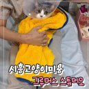 그루머스 스튜디오 이미지