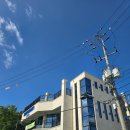 블루멍S 이미지