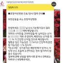 포항시북구49 | 포항 여성 병원 | 보건소 산전 검사 e보건소 신청 방법 및 환급 후기