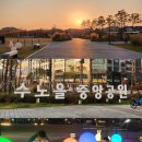 수노을중앙공원 | 화성 가볼만한 곳 추천 &#39;수노을 중앙공원&#39; 🌻 공영주차장 무료 이용까지! 완벽한 가족 나들이