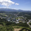 제주대학교 이미지