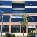 수목토일라이트 이미지