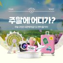 이곳 파이낸셜뉴스