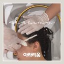 양주 옥정탈모관리 + 피부관리 한번에 받을 수 있는 아라리움 후기