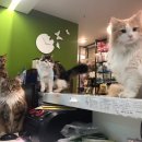 정훈동물병원 이미지