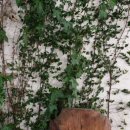 산고운펜션 이미지