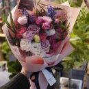 석전동286 이미지