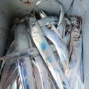 구산면511 이미지