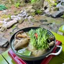 처가집식당 - 이천시 | 경기광주 남한산성 백숙 맛집 계곡 평상에서 즐기는 40년 전통 식당 처가집