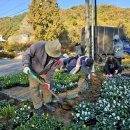 양사면-4 이미지