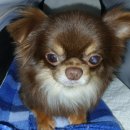 당거리농장 이미지