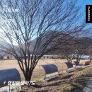 사계절오토캠핑장 | 밀양사계절오토캠핑장 명당 사이트 B13, B14 이용후기 아이랑다녀온 캠핑장,봄캠핑장