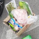 피콕빌리지 펜션 이미지