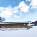 자연목장 이미지