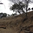 창원 제포진성 이미지