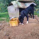 백호농장 이미지