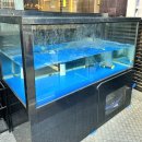 (주)삼강 | 삼성동 장어 맛집 "삼강장어"(내돈내산,웨이팅,솔직후기)