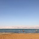 세계로렌트카 이미지