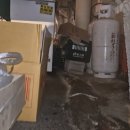 오산노모당 | 김관채 고양이탐정 후기/ (경기도 부천시)빌라에서 가출한 고양이를 복잡한 시장통에서 구조