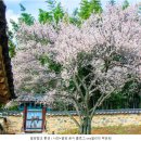 밀양향교 이미지