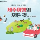 (주)여행이필요해