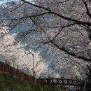 진해여자고등학교 이미지