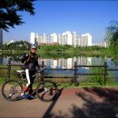 야생화단지 이미지