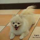 똥돼지 - 강북구 노해로 55 | 똥돼지